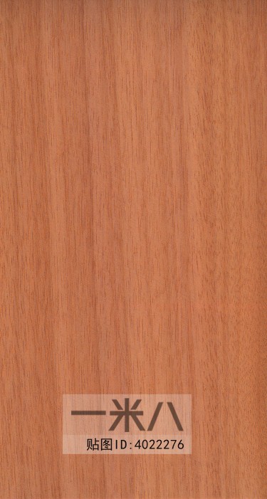 Wood Texture