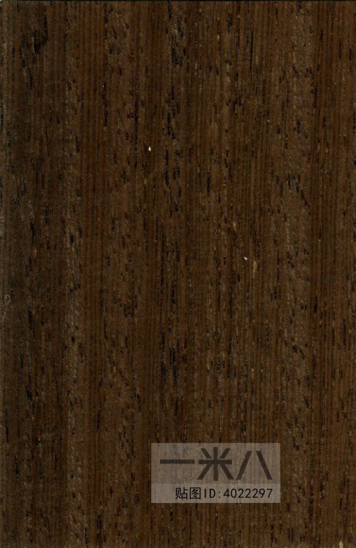 Wood Texture