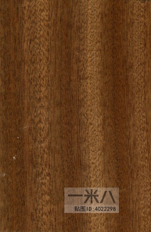 Wood Texture