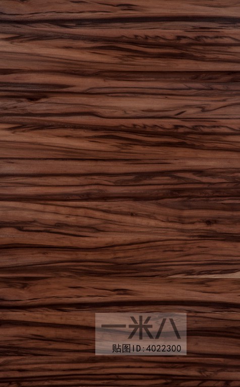 Wood Texture