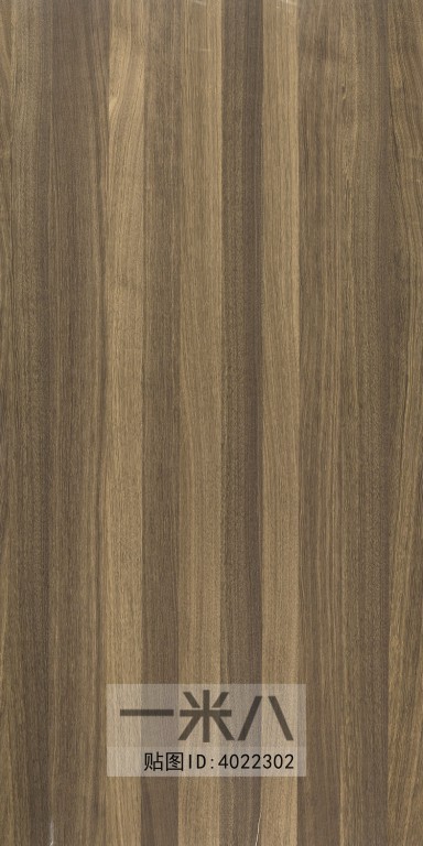 Wood Texture