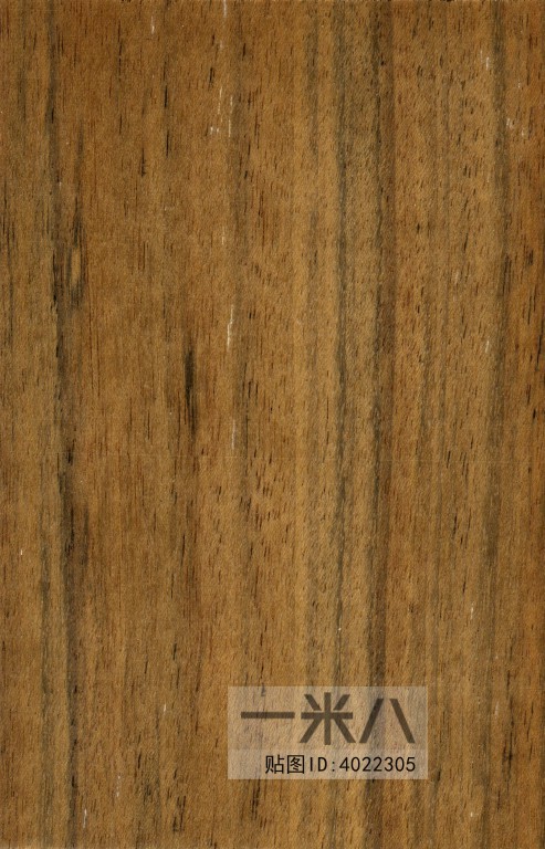 Wood Texture