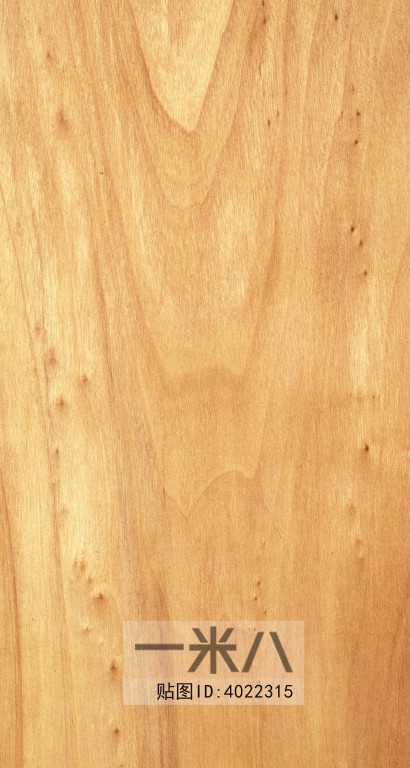 Wood Texture