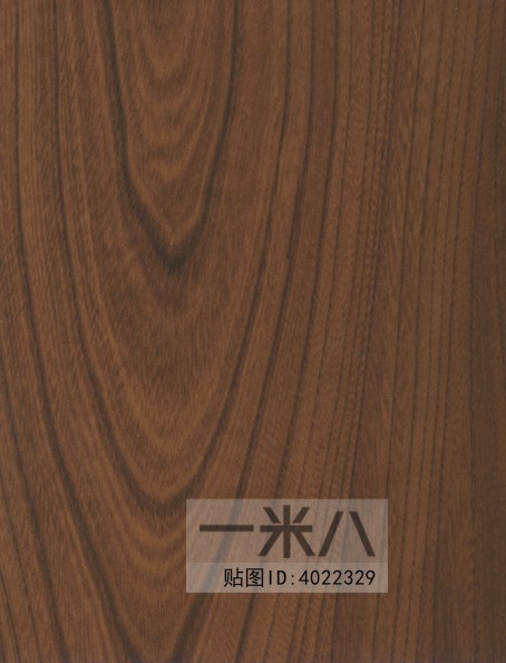 Wood Texture