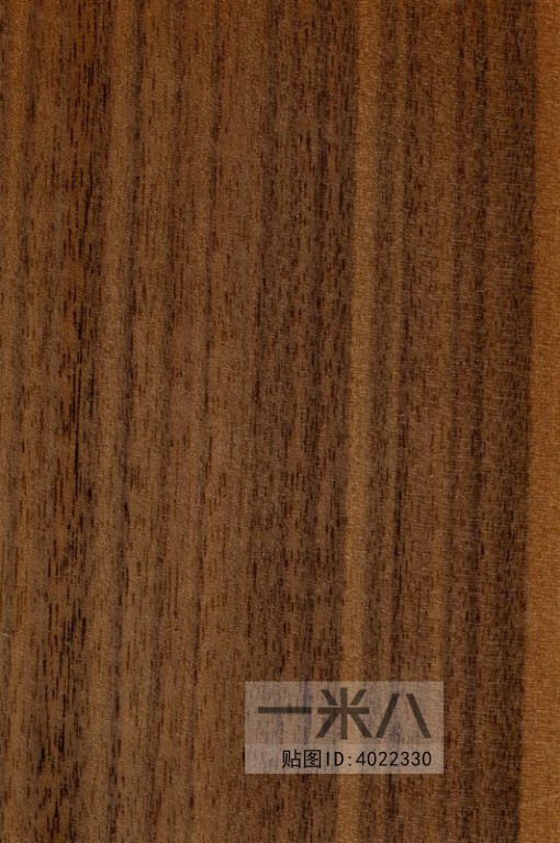 Wood Texture