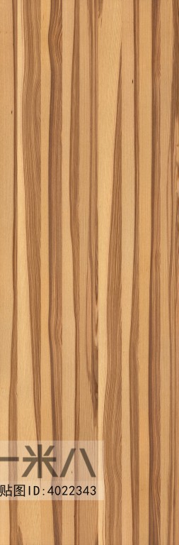 Wood Texture