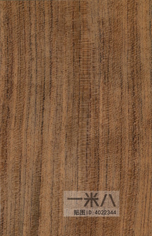 Wood Texture