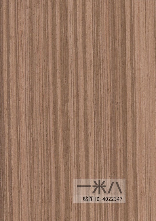 Wood Texture