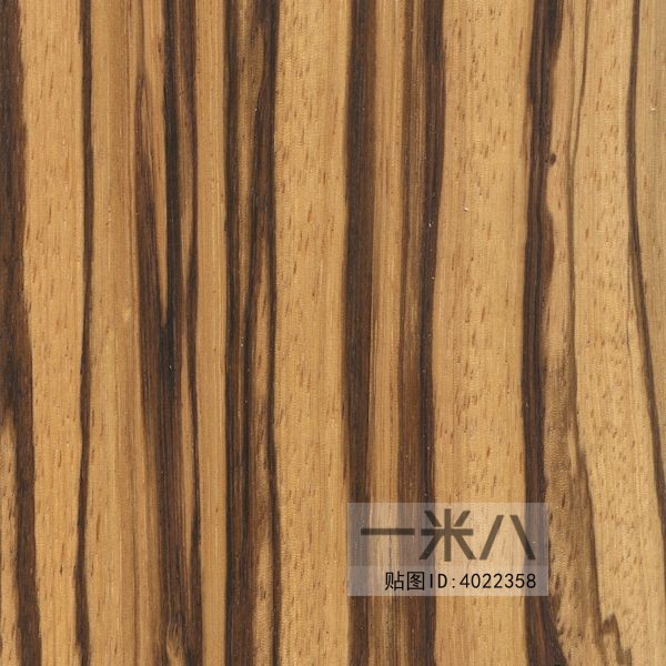 Wood Texture