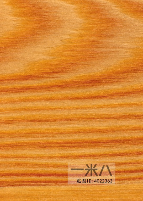 Wood Texture