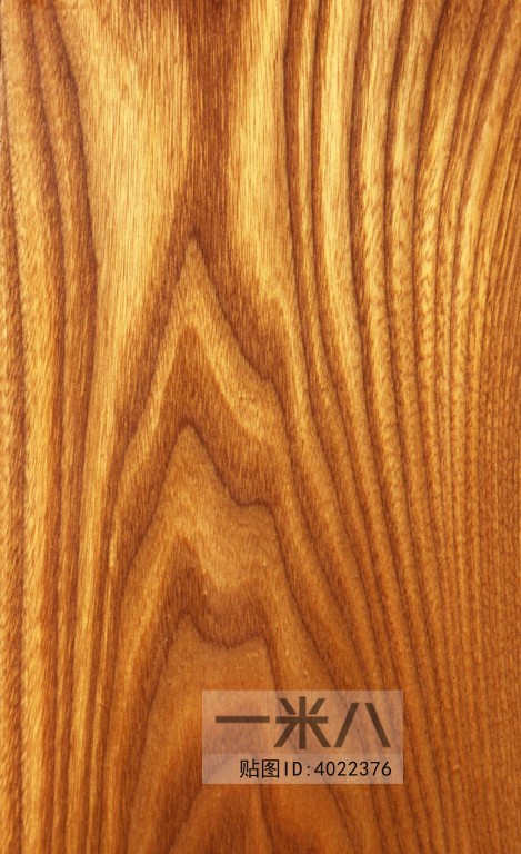 Wood Texture