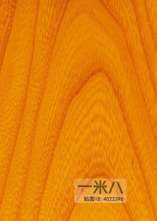 Wood Texture