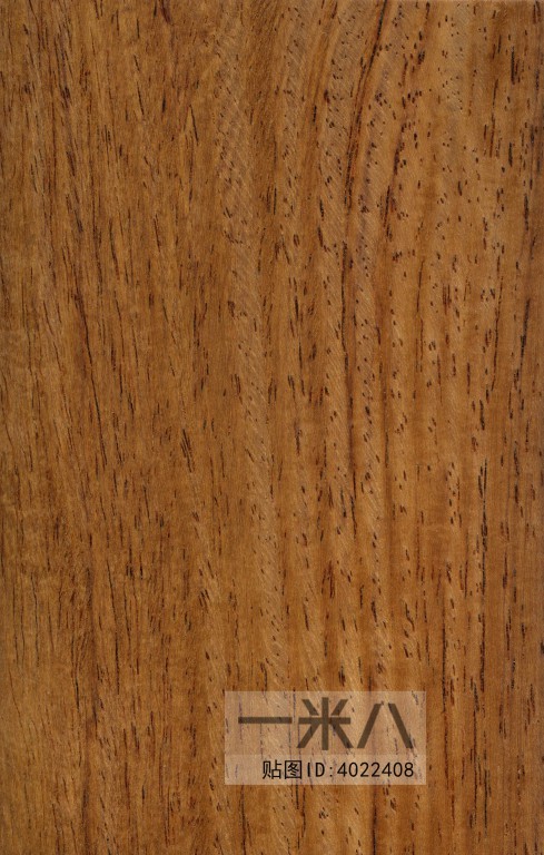 Wood Texture