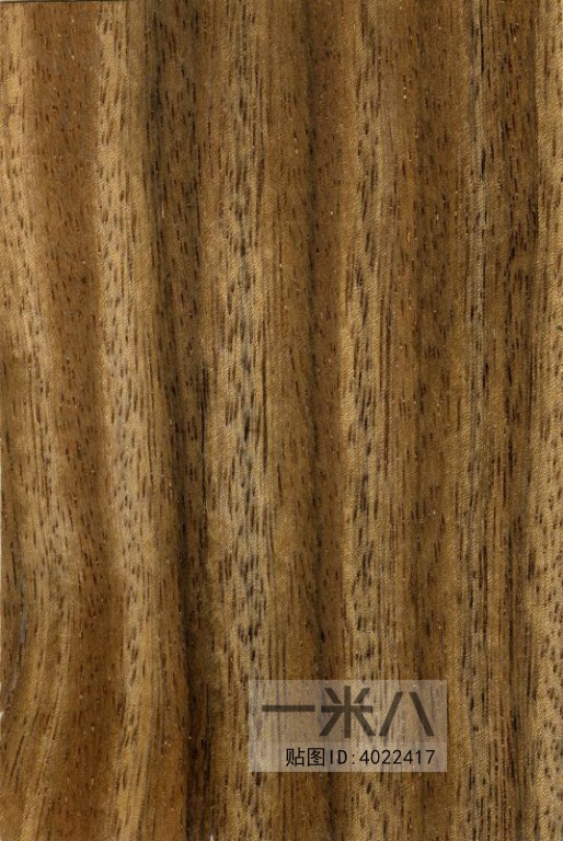 Wood Texture