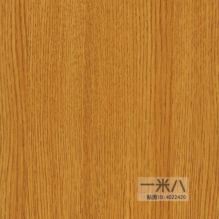 Wood Texture