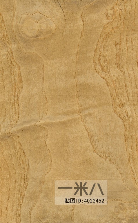 Wood Texture