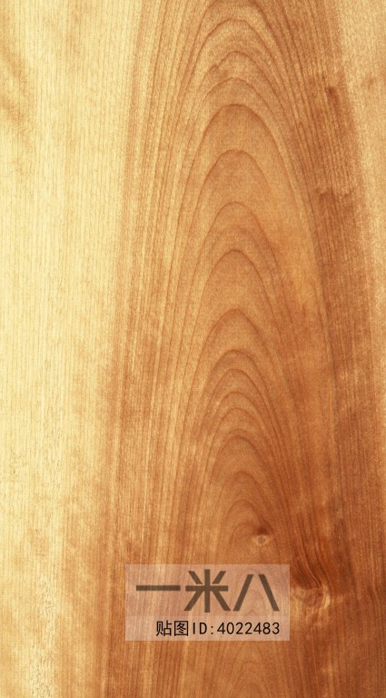 Wood Texture