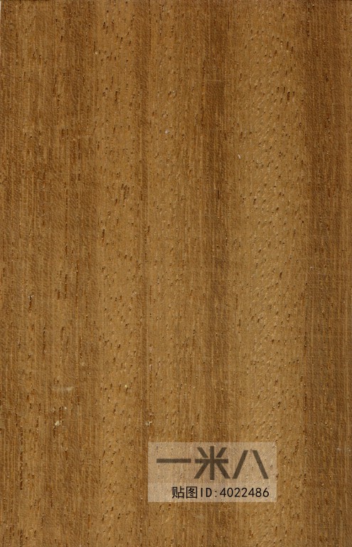 Wood Texture