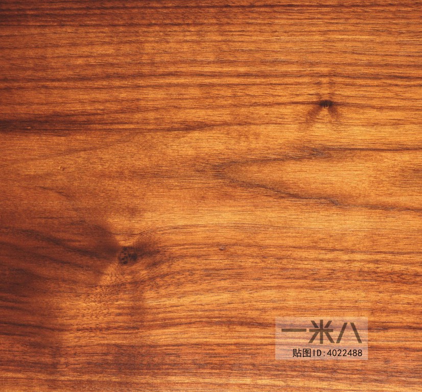 Wood Texture