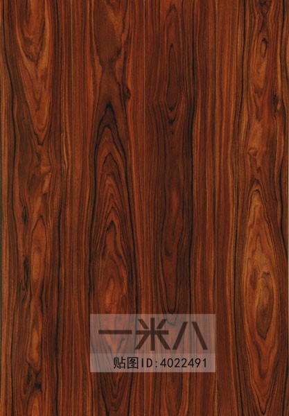 Wood Texture