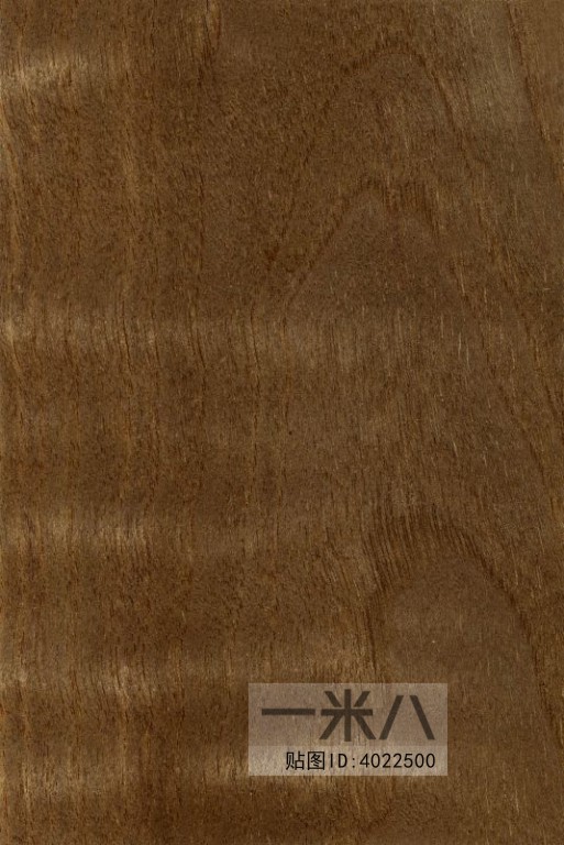 Wood Texture