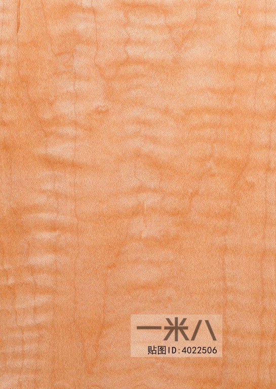 Wood Texture