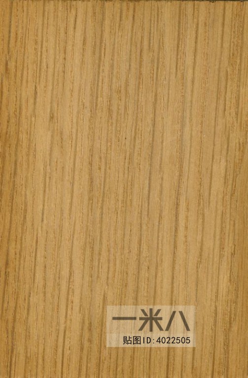 Wood Texture