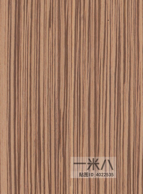 Wood Texture