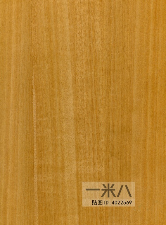 Wood Texture