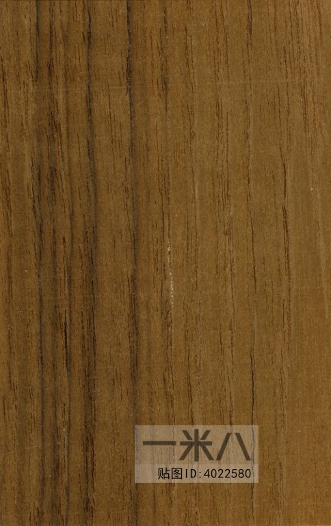 Wood Texture