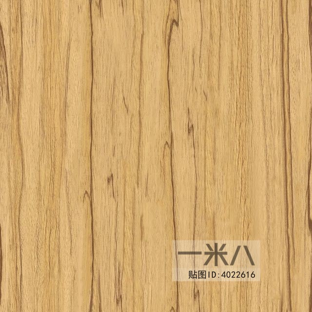 Wood Texture