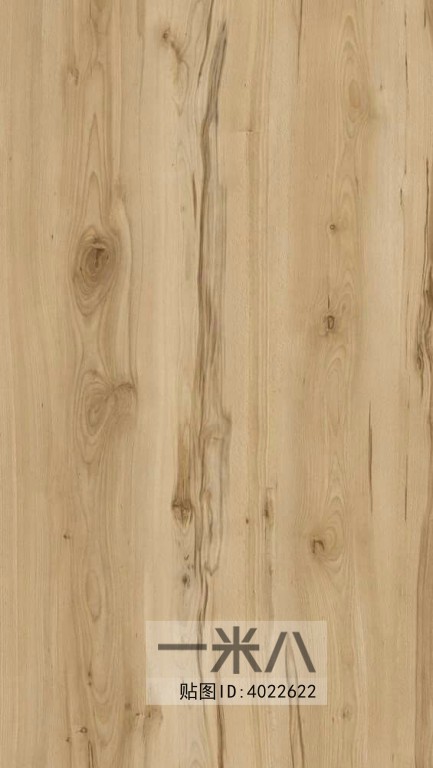 Wood Texture