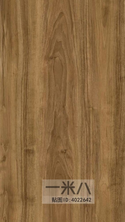 Wood Texture