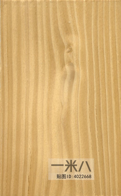 Wood Texture