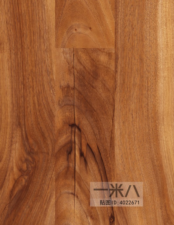 Wood Texture