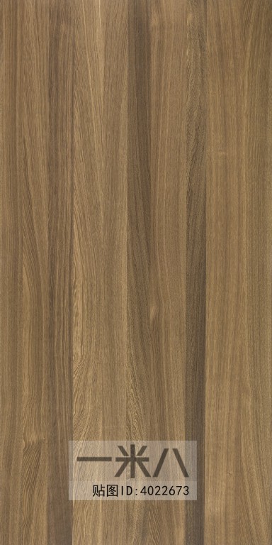 Wood Texture