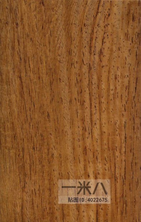 Wood Texture