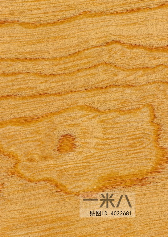 Wood Texture