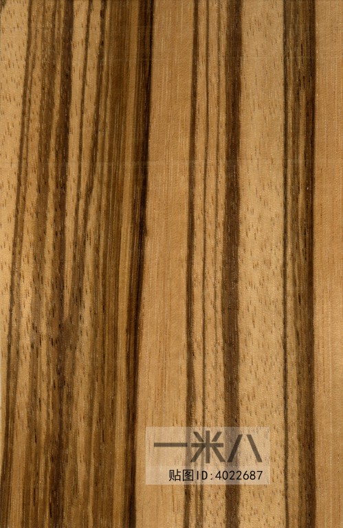 Wood Texture