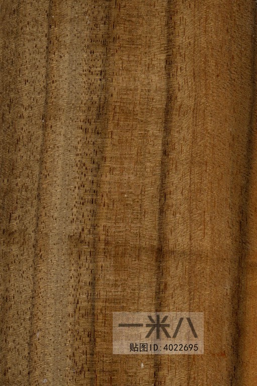 Wood Texture