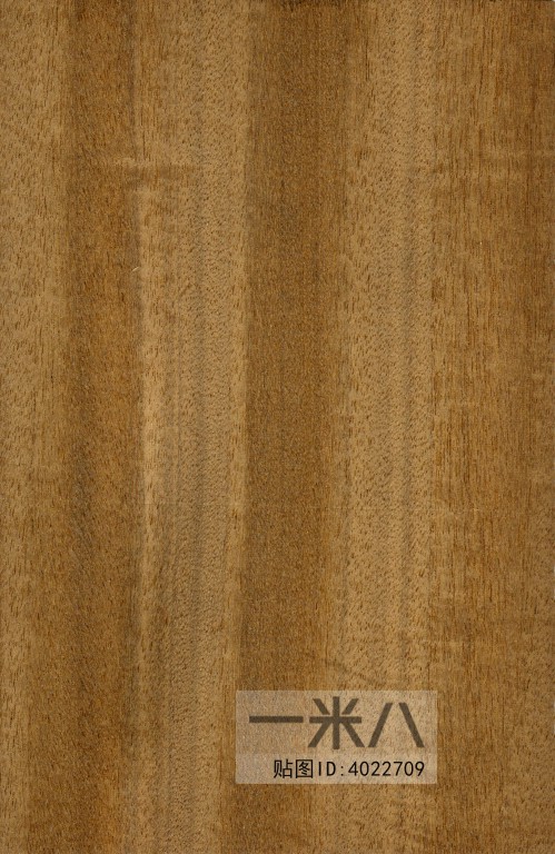 Wood Texture