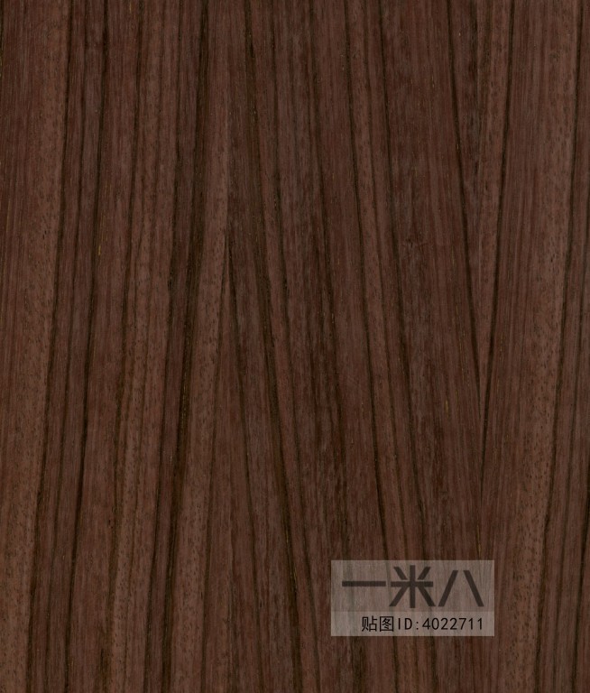 Wood Texture