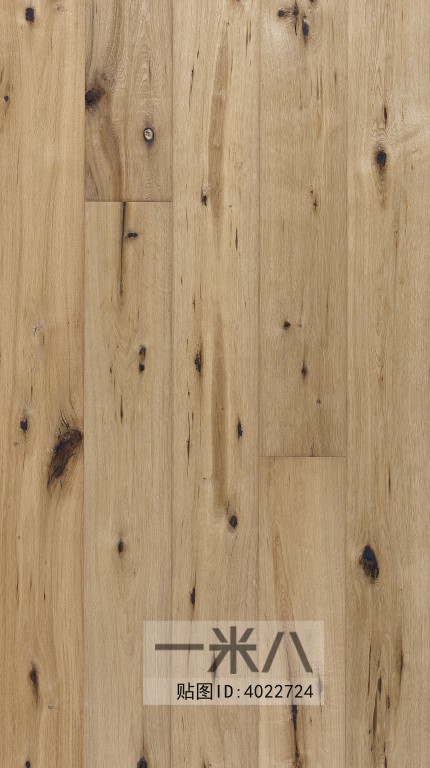 Wood Texture