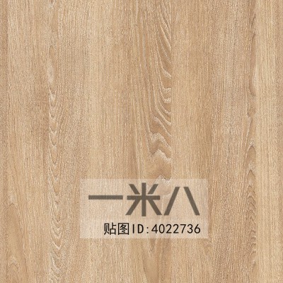 Wood Texture