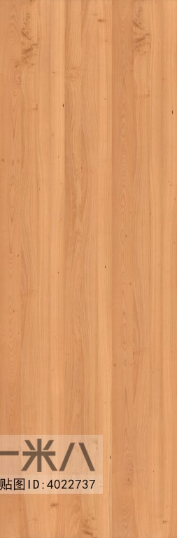 Wood Texture