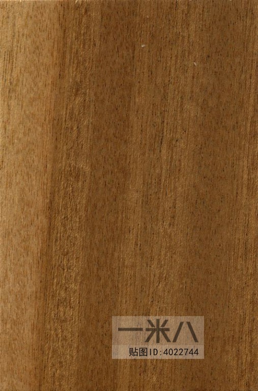 Wood Texture