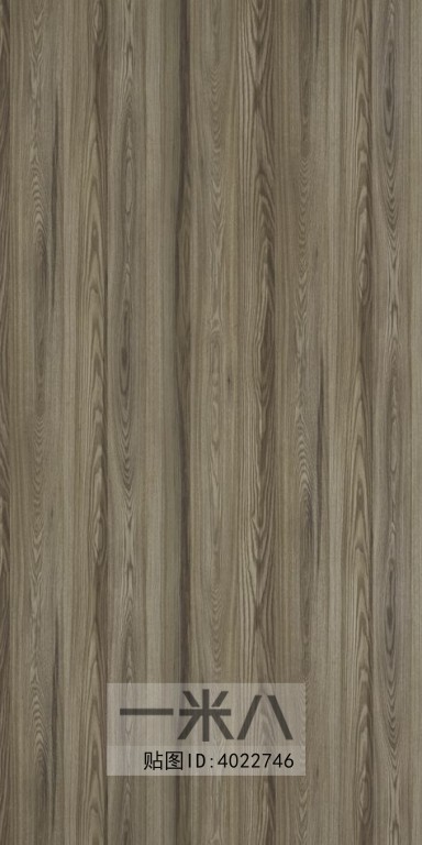 Wood Texture