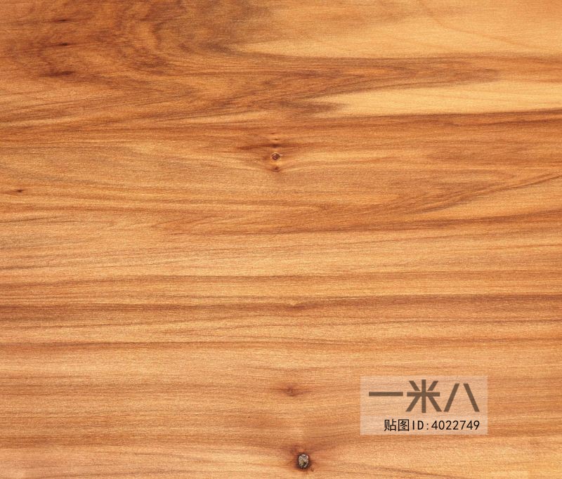 Wood Texture