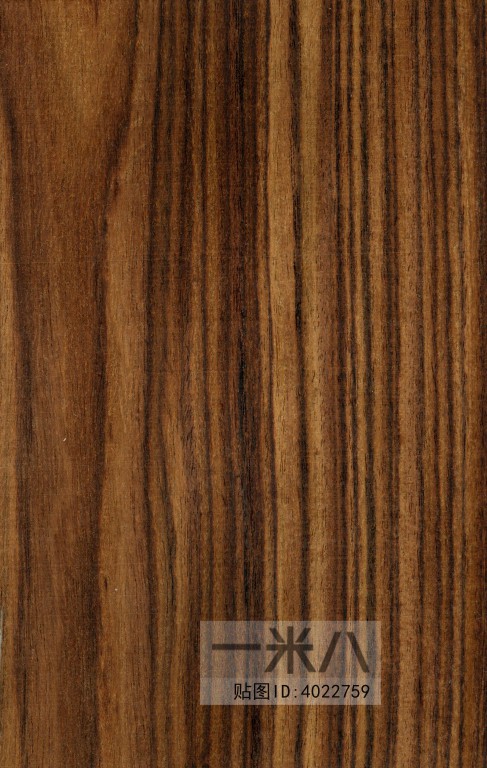 Wood Texture