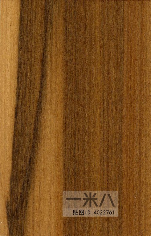 Wood Texture